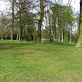 park w Wielkiej Brytanii #przyroda #natura #krajobraz #drzewa #rośliny #zwierzęta #park #niebo
