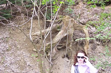 #binarowa #góry #szczyt #przyroda #strumyk