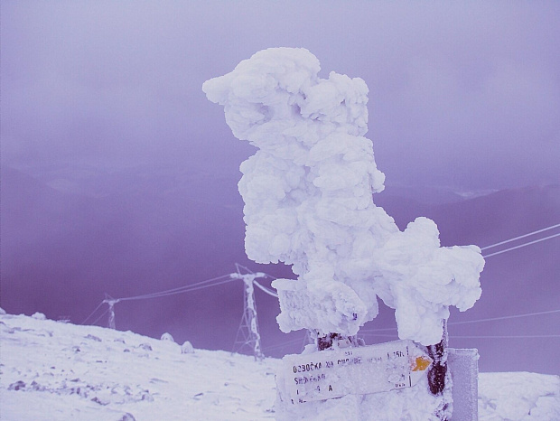 Tatry Niżne