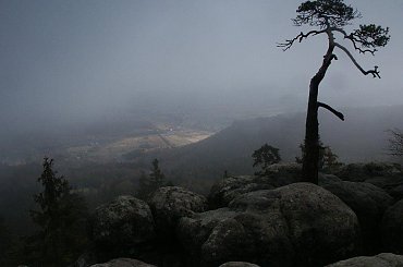 Góry Stołowe; widok ze Szczelińca #góry #mountain #Sudety #Stołowe #Szczeliniec