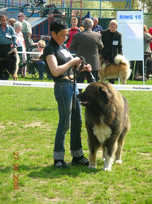 Opole 2008