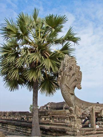 Angkor Wat