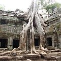 Ta Prohm