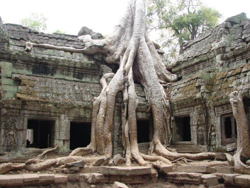 Ta Prohm