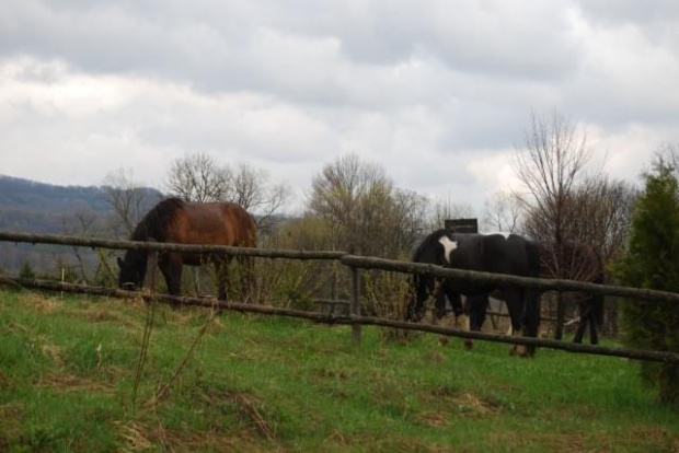 Bieszczady