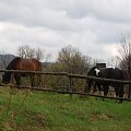 Bieszczady