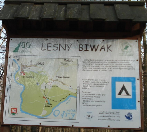 łęgi nad Odrą