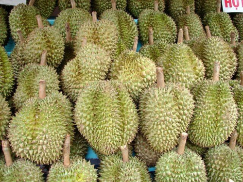 Durian