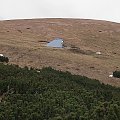 Tatry Niżne