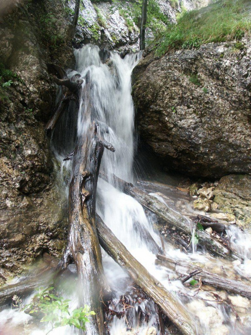 ...bez oporów wystawiają się na bryzgi kryształowo czystej wody... #góry #mountain #Fatra #Diery #potok #kaskada