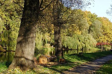 TORUŃ - PARK #FaunaIFlora