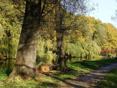 TORUŃ - PARK #FaunaIFlora