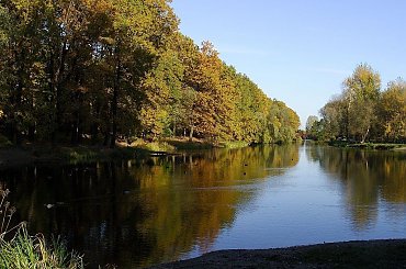 TORUŃ - PARK #FaunaIFlora