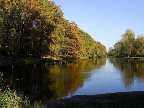 TORUŃ - PARK #FaunaIFlora