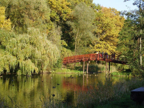 TORUŃ - PARK #FaunaIFlora