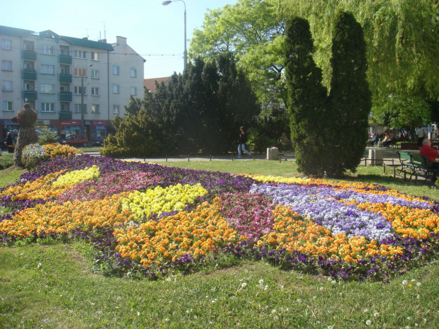 gorzow wlkp i okolice maj 08