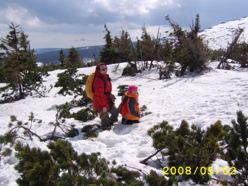 Karkonosze w maju