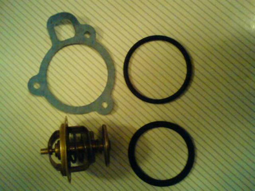 termostat - Seat Ibiza 021A