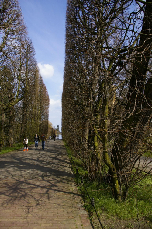 park Oliwski