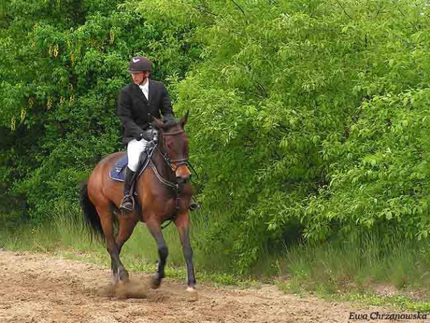 16.05.2008 Zawody w Stodołach