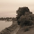 Smutny pejzaż nadwiślański #pejzaż #rzeka #Wisła #nadwiślański #drzewa #SinaDal #smutek