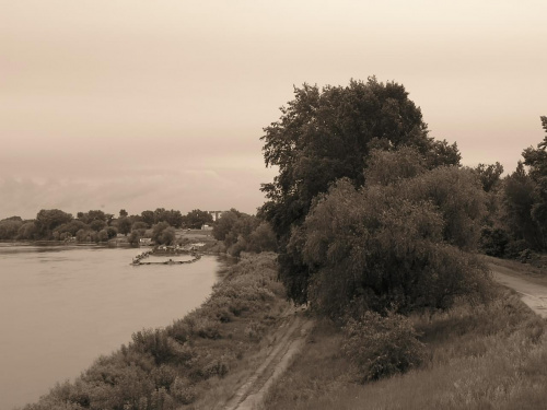 Smutny pejzaż nadwiślański #pejzaż #rzeka #Wisła #nadwiślański #drzewa #SinaDal #smutek