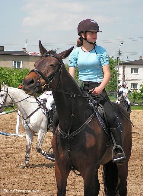 17.05.2008 Zawody w Stodołach