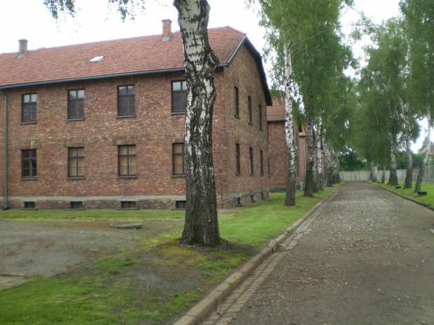 AUSCHWITZ