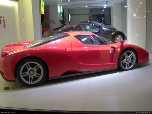 Ferrari Enzo - www,autogen.pl