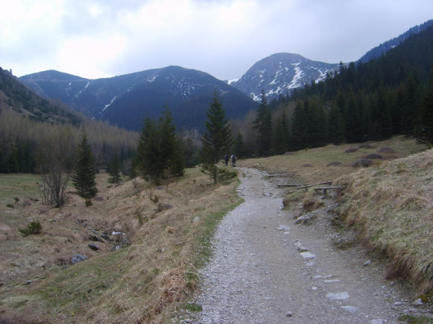 Tatry Dolina Jaworzynki