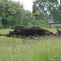 Ustawianie, na torze który parę dnie temu został odświeżony.