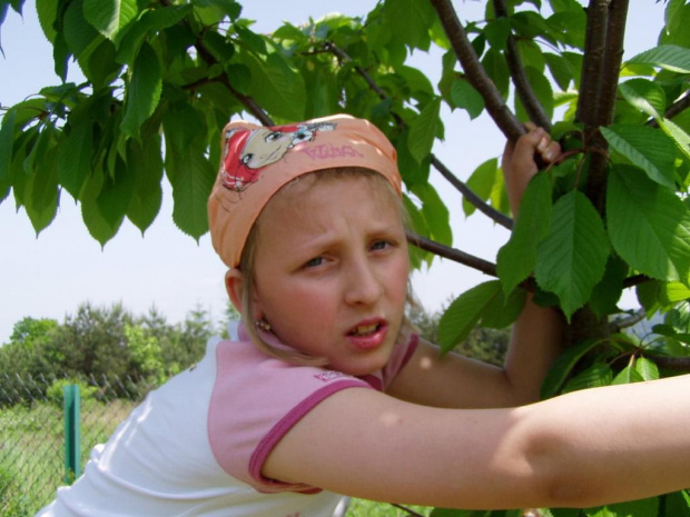 Działka 27 maj 2008