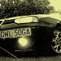 alfa 156 norbiwolow