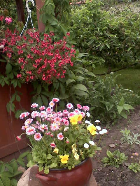 Zakątki w moim ogrodzie.. #ogrody