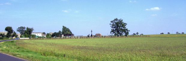 Cmentarz Sokolniki/Gniezno #cmentarz