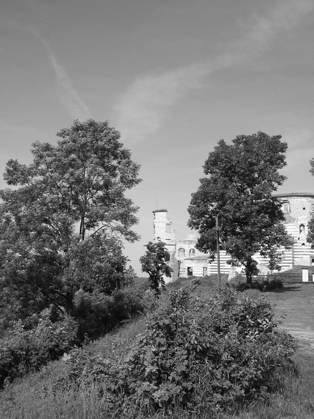 #drzewa #Janowiec #ruiny #wieża #zamczysko #zamek #ZamekWJanowcu