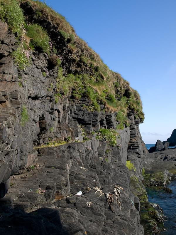 nohoval cove cork ireland