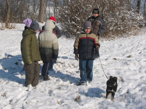 Mimi po znalezieniu :) cała klasa zajmuje się małą znajdą #dzieci #pies #psy #zima #zwierzęta