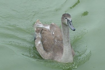 #iNOWROCŁAW #WIDOKI #SOLANKI