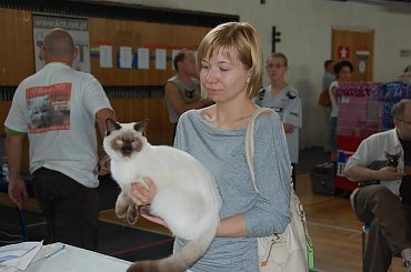 Wystawa Kotów Rasowych w Krakowie - niedziela 08.06.2008 #wystawa #koty #Kraków