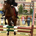 #konie #Suwałki #PiknikKawaleryjski