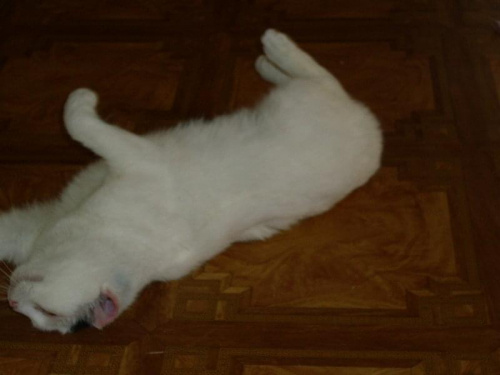 marzę sobie
