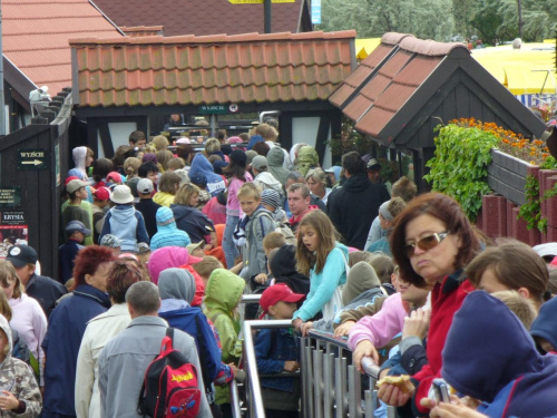 Fokarium na helu - wszyscy czekają na karmienie foczek.