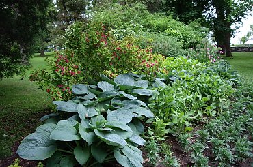 w parku #park #Toronto #Czerwiec2008