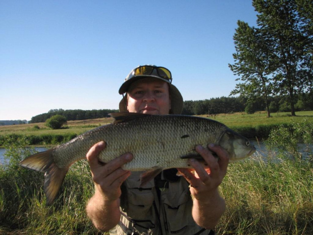 Boleń 59cm. Narew. Okolice Strękowej Góry. Ryba wypuszczona po złowieniu.