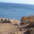 preveli