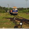 Lok. BR232-171 wraz ze składem platform kontenerowych z Gdyni do Sławkowa minął właśnie semafor wjazdowy na bocznicę. Dn. 01.06.2008 roku