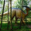 Parazaurolof #dinozaury #parazaurolof