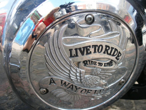 Pasjonaci motocykli Harley Davidson doskonale wiedzą, co oznacza to motto, ale tylko prawdziwi Harley'owcy mogą poczuć to każdego dnia każdą częścią ciała...