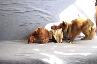 Rudolf na tapczanie #Rudolf